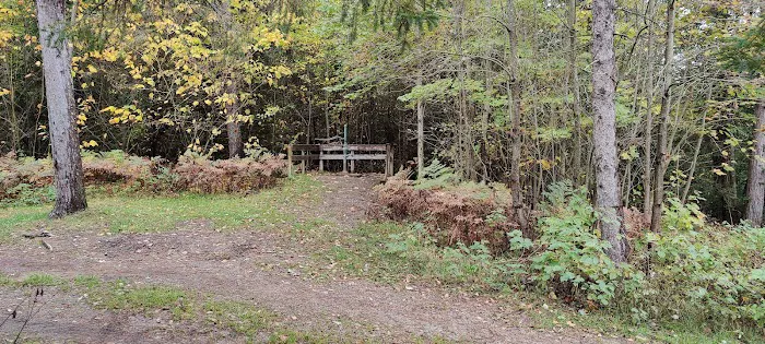 Big Stone Bay Cabin Picture 3