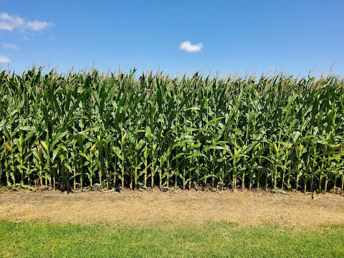 Bonnell RV Park (Family Only) Picture 1