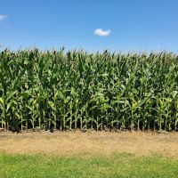 Bonnell RV Park (Family Only) ico