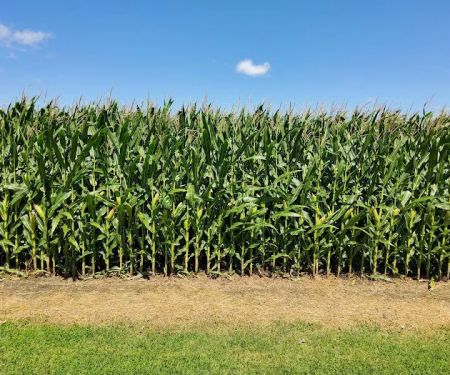 Bonnell RV Park (Family Only)