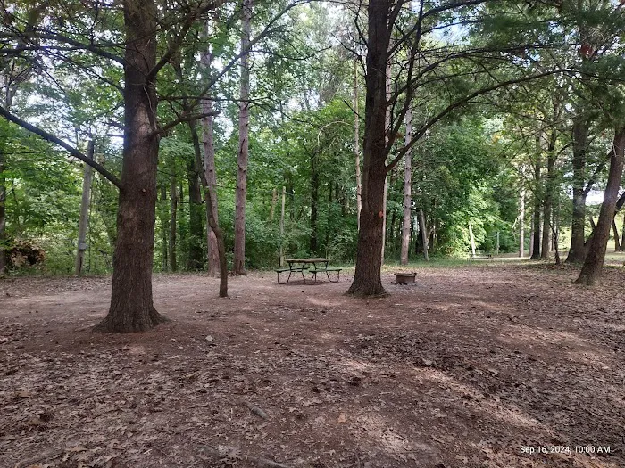 Condit's Ranch Picture 3