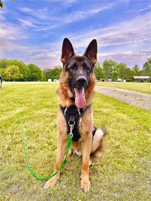 Condit's Ranch Picture 6