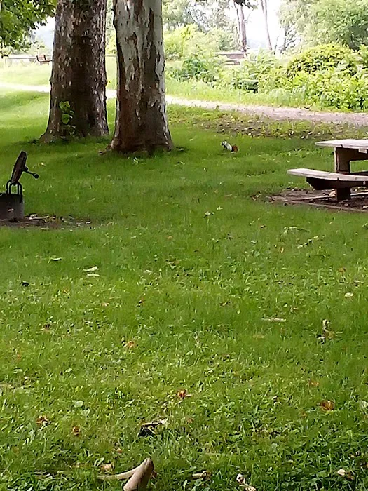 Hennepin Canal Lock 11 - campground Picture 10