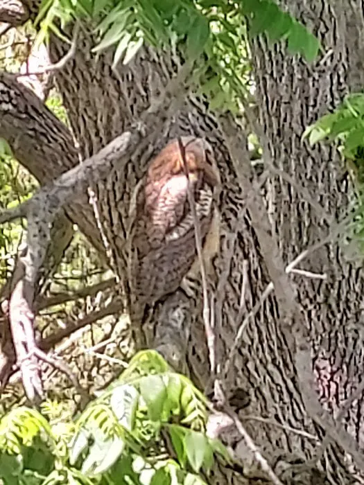Bureau County Camping Picture 9