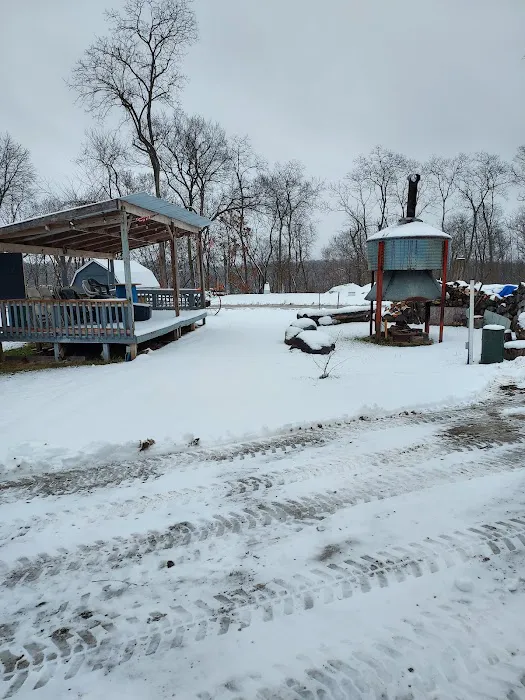 Bureau County Camping Picture 6