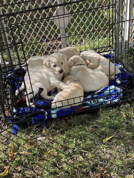 Rock River Leisure Estates Picture 1