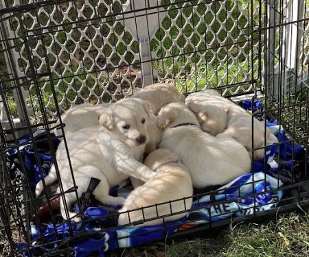 Rock River Leisure Estates