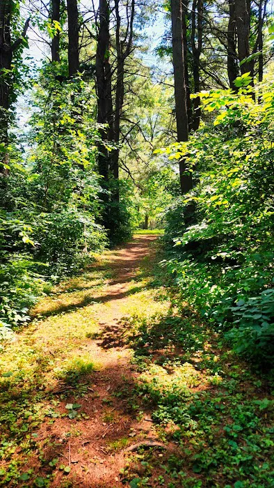 Cedar Ridge Family Campground Picture 3