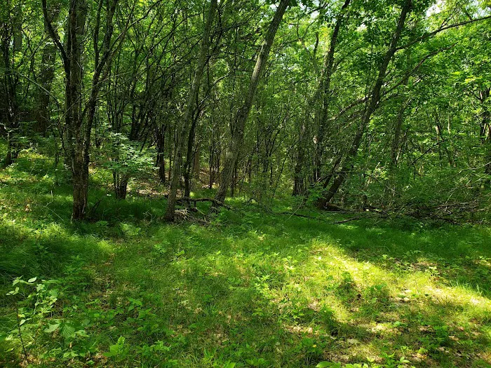 Scenic Ridge Campground Picture 5