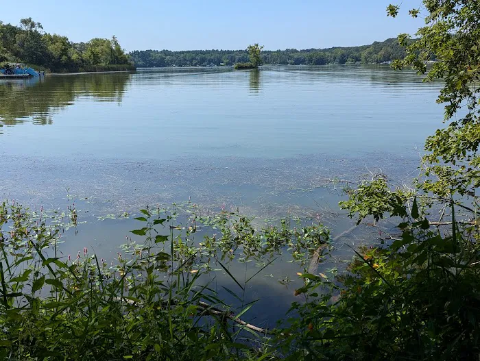 Whitewater Lake Campground Picture 4