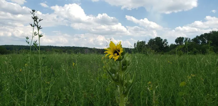 Whitewater Lake Campground Picture 8