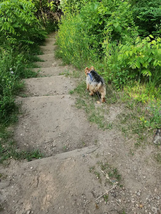 Whitewater Lake Campground Picture 9