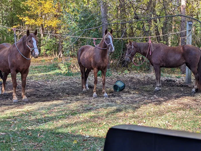 Horseriders' Campground Picture 1