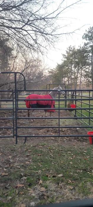 Horseriders' Campground Picture 3