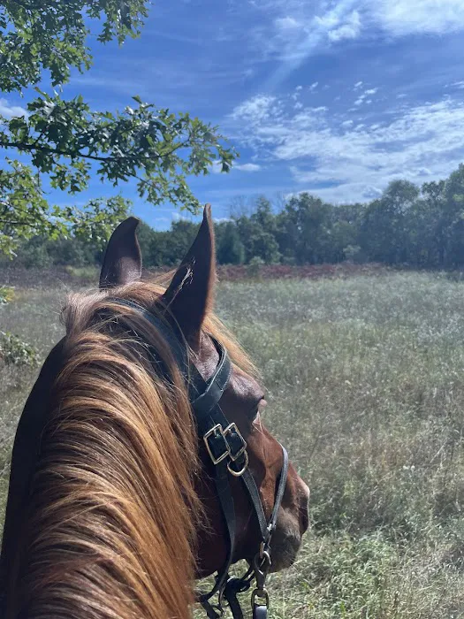 Horseriders' Campground Picture 5