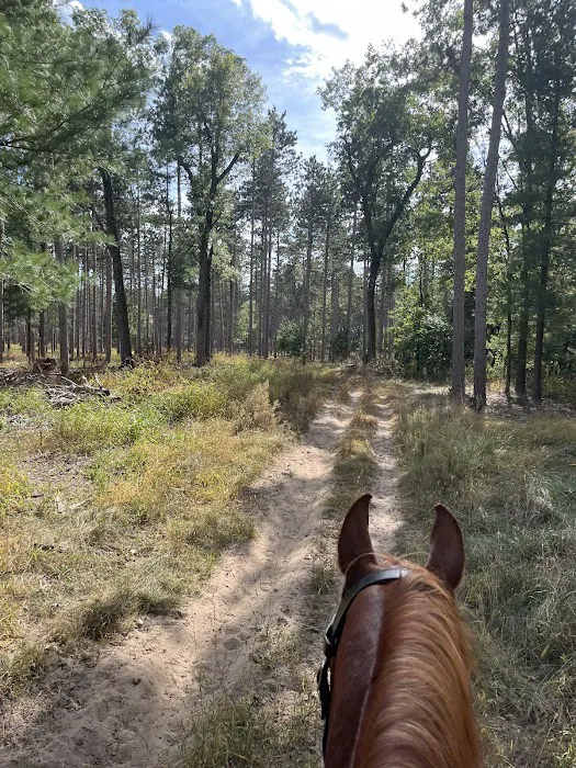 Horseriders' Campground Picture 6