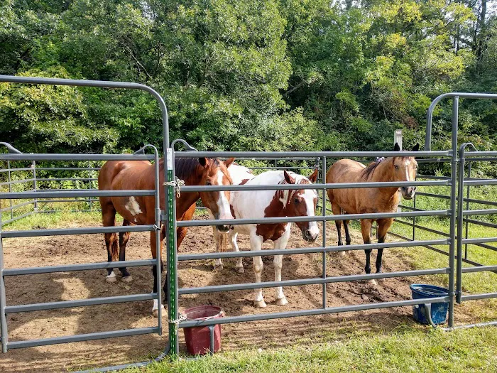 Horseriders' Campground Picture 9