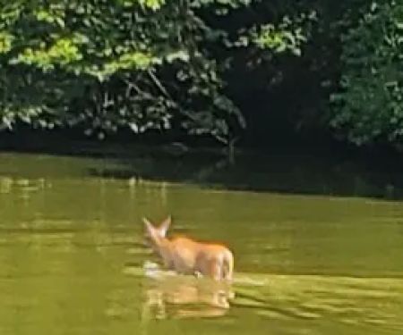 Canton Lake Campground
