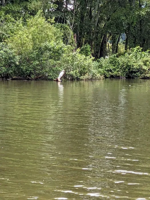 Bumpus Mills Campground Picture 4