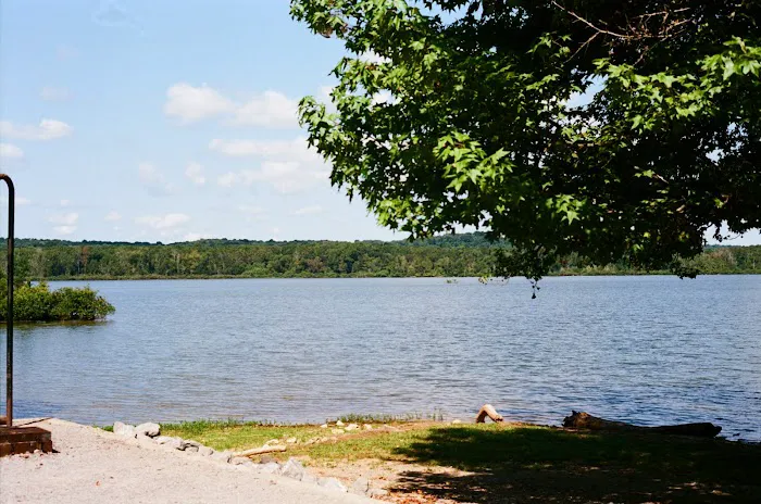 Bumpus Mills Campground Picture 2