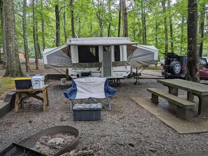 Bumpus Mills Campground Picture 3