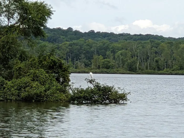 Bumpus Mills Campground Picture 5