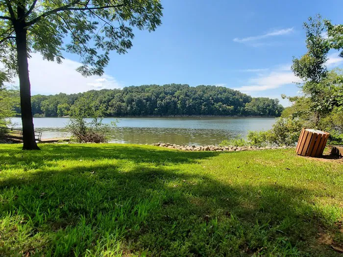 Bumpus Mills Campground Picture 8