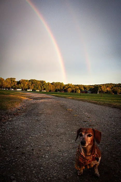 Cedar Lake Campground Picture 3