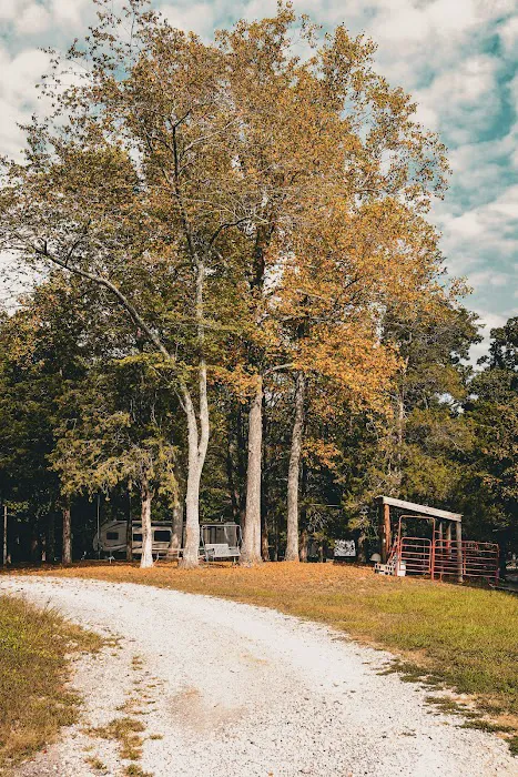 Cedar Lake Campground Picture 8