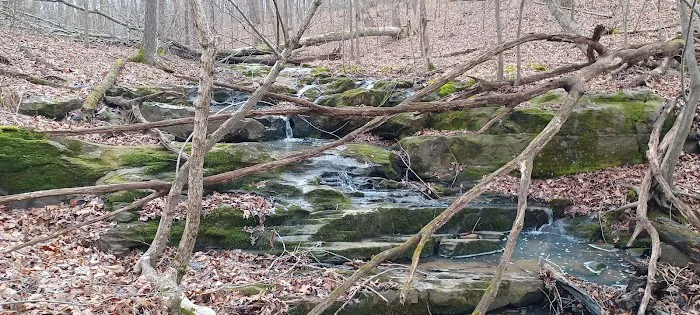 Buck Ridge Campground Picture 2