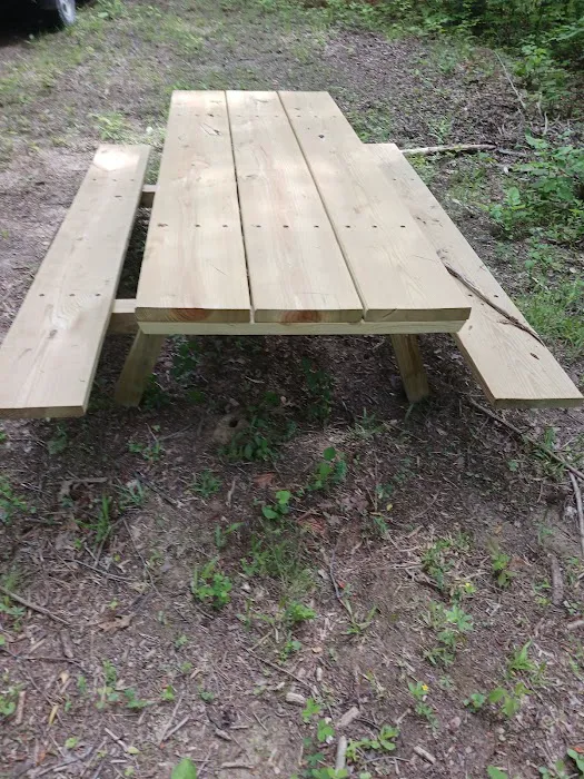 Buck Ridge Campground Picture 6