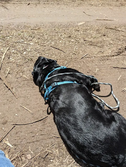 Buck Ridge Campground Picture 8