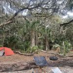 Brickhill Bluff Wilderness Campsite