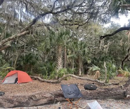 Brickhill Bluff Wilderness Campsite