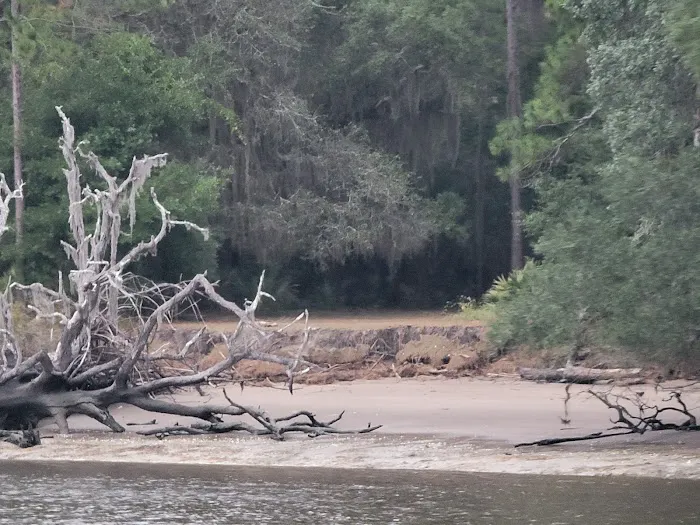 Brickhill Bluff Wilderness Campsite Picture 2