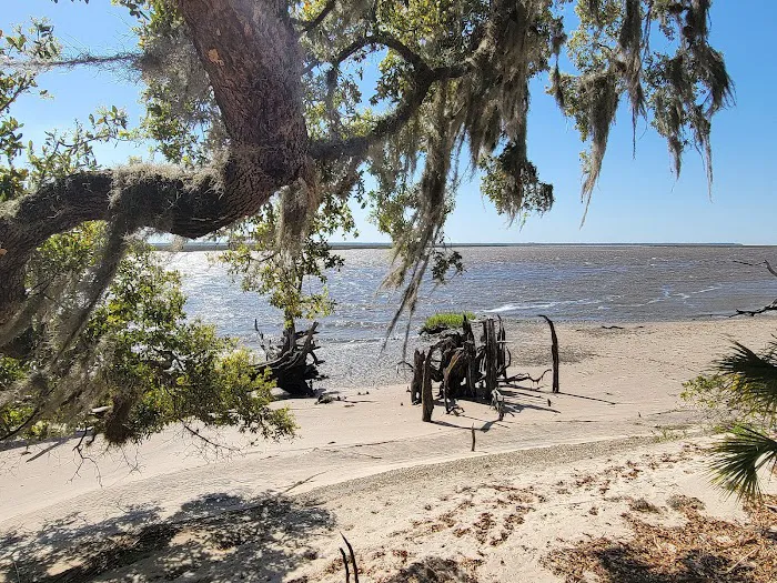 Brickhill Bluff Wilderness Campsite Picture 4