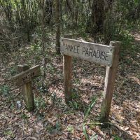 Yankee Paradise Wilderness Campground ico