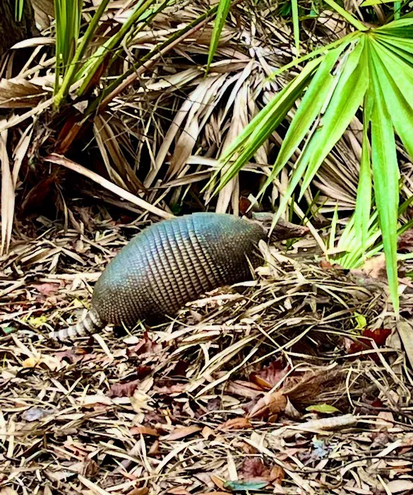 Yankee Paradise Wilderness Campground Picture 5