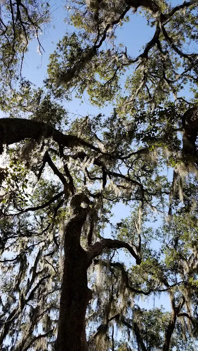 Hickory Hill Campground Picture 3