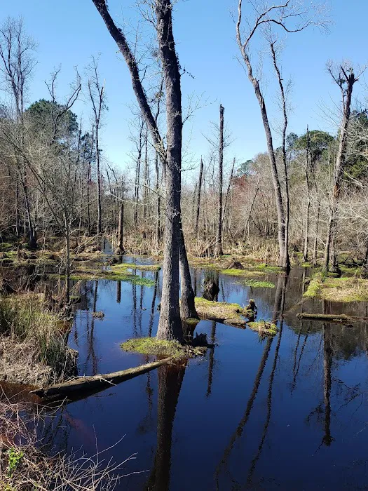 JB's RV Park Picture 3