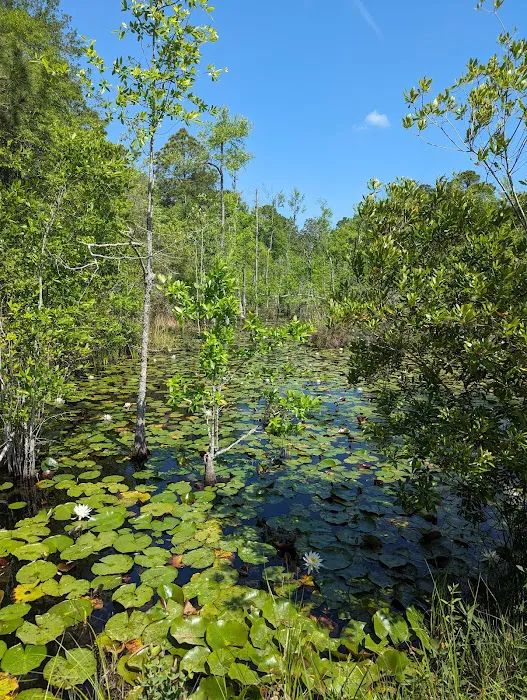 The Hideaway Campground Picture 6