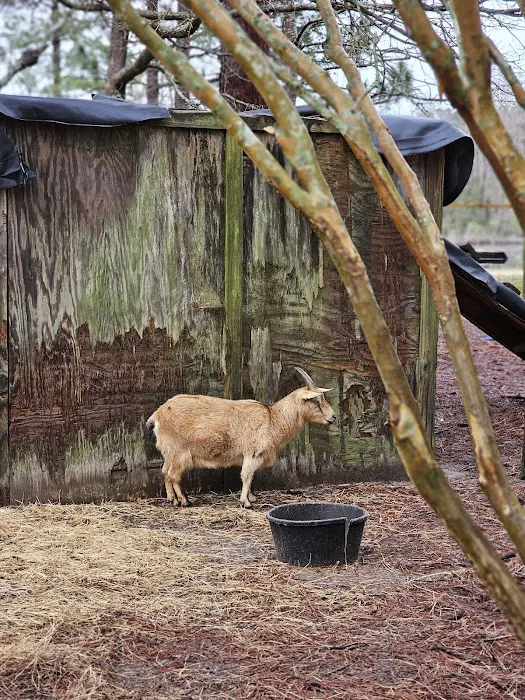 The Hideaway Campground Picture 10