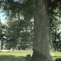 Tattnall Campground ico