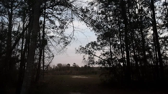 Tattnall Campground Picture 5