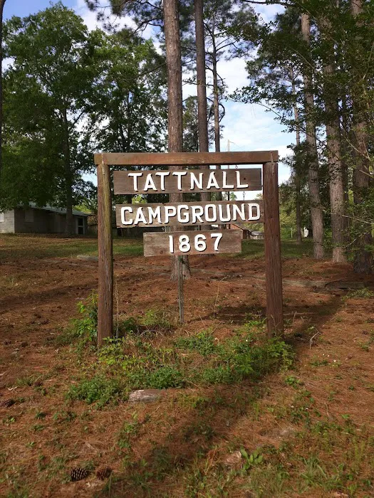 Tattnall Campground Picture 4