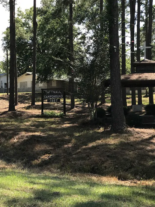 Tattnall Campground Picture 6