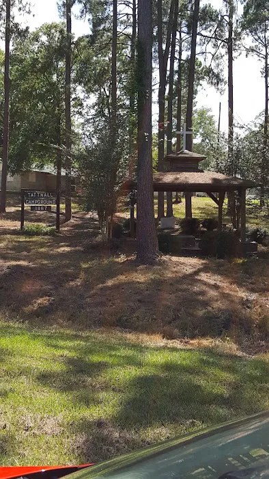 Tattnall Campground Picture 8