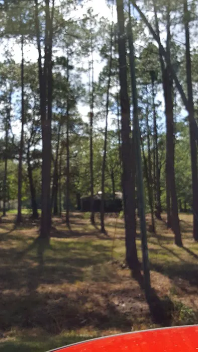 Tattnall Campground Picture 7