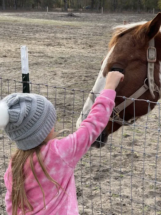 Hidden Forest RV Club Picture 1