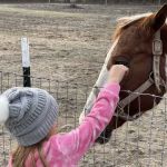 Hidden Forest RV Club